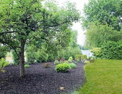 Garden Side Entrance