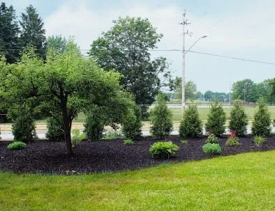 Garden Main Entrance